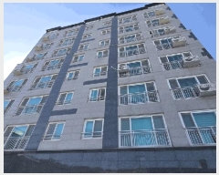  2025Ÿ��517  ���ǽ��ڰ��