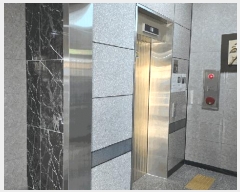  2025Ÿ��517  ���ǽ��ڰ��