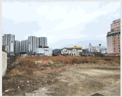  2025Ÿ��527 �泲 ��õ�� ��õ�� ��ȭ�� 2-4      ����(��)���