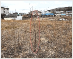  2025Ÿ��527 �泲 ��õ�� ��õ�� ��ȭ�� 2-4      ����(��)���