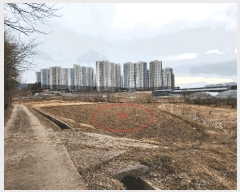  2025Ÿ��527 �泲 ��õ�� ��õ�� ��ȭ�� 2-4      ����(��)���