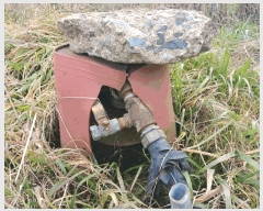  2025Ÿ��532 �泲 ���ر� ���� ȫ���� 143      ���ð��