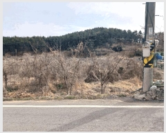  2025Ÿ��532 �泲 ���ر� ���� ȫ���� 143      ���ð��