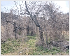  2025Ÿ��532 �泲 ���ر� ���� ȫ���� 143      ���ð��