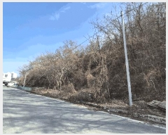  2025Ÿ��539  �����