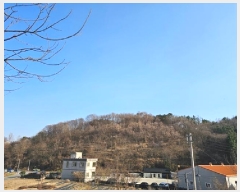  2025Ÿ��539  �����