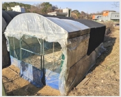  2025Ÿ��539  �����