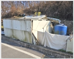  2025Ÿ��539  �����