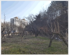  2025Ÿ��544 �泲 ��õ�� ��õ�� ���Ǹ� 74-4      ����(��1)���