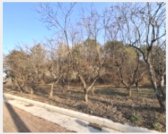  2025Ÿ��544 �泲 ��õ�� ��õ�� ���Ǹ� 74-4      ����(��1)���