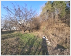  2025Ÿ��544 �泲 ��õ�� ��õ�� ���Ǹ� 74-4      ����(��1)���