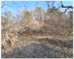  2025Ÿ��544 �泲 ��õ�� ��õ�� ���Ǹ� 74-4      ����(��1)���