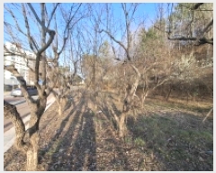  2025Ÿ��544 �泲 ��õ�� ��õ�� ���Ǹ� 74-4      ����(��1)���