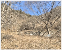  2025Ÿ��559 �泲 ���ֽ� ������ �ű⸮ 594      ����(��1)���