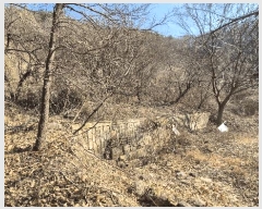  2025Ÿ��559 �泲 ���ֽ� ������ �ű⸮ 594      ����(��1)���