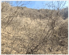  2025Ÿ��559 �泲 ���ֽ� ������ �ű⸮ 594      ����(��1)���