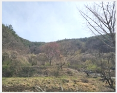  2025Ÿ��559 �泲 ���ֽ� ������ �ű⸮ 594      ����(��1)���