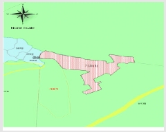  2025Ÿ��559 �泲 ���ֽ� ������ �ű⸮ 594      ����(��1)���