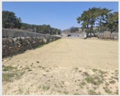  2025Ÿ��564 �泲 ���ر� ������ ������ 1700-2      ����(��)���