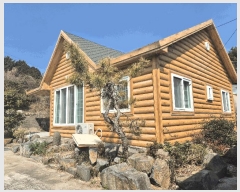  2025Ÿ��564  ���ð��