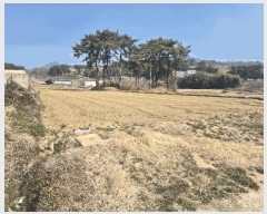  2025Ÿ��564  ���ð��