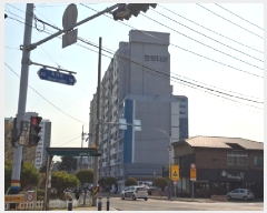  2025Ÿ��584  ����Ʈ���