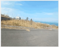  2025Ÿ��589 �泲 ��õ�� ������ ��185-26       ����(�Ӿ�)���