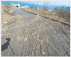  2025Ÿ��589 �泲 ��õ�� ������ ��185-26       ����(�Ӿ�)���