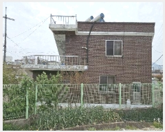  2025Ÿ��626  ���ð��