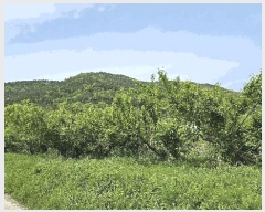  2025Ÿ��654 �泲 ���ر� �̵��� ��Ҹ� 141      ����(��)���