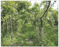  2025Ÿ��654 �泲 ���ر� �̵��� ��Ҹ� 141      ����(��)���