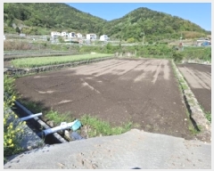  2025Ÿ��654 �泲 ���ر� �̵��� ��Ҹ� 141      ����(��)���