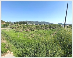  2025Ÿ��654 �泲 ���ر� �̵��� ��Ҹ� 141      ����(��)���