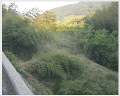  2025Ÿ��664  �Ӿ߰��