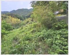  2025Ÿ��664 �泲 ��û�� �ܼ��� ��� 112      ����(�������)���