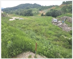  2025Ÿ��664 �泲 ��û�� �ܼ��� ��� 112      ����(�������)���