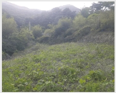  2025Ÿ��664 �泲 ��û�� �ܼ��� ��� 112      ����(�������)���