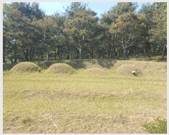  2025Ÿ��674 �泲 ��õ�� ����� ������ ��31      ����(�Ӿ�)���