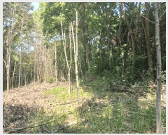  2025Ÿ��674 �泲 ��õ�� ����� ������ ��31      ����(�Ӿ�)���