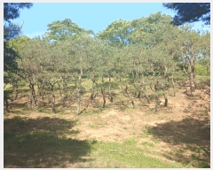  2025Ÿ��674 �泲 ��õ�� ����� ������ ��31      ����(�Ӿ�)���