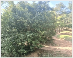  2025Ÿ��674 �泲 ��õ�� ����� ������ ��31      ����(�Ӿ�)���