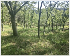  2025Ÿ��674 �泲 ��õ�� ����� ������ ��31      ����(�Ӿ�)���