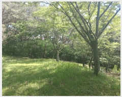  2025Ÿ��674 �泲 ��õ�� ����� ������ ��31      ����(�Ӿ�)���