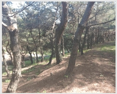  2025Ÿ��674 �泲 ��õ�� ����� ������ ��31      ����(�Ӿ�)���