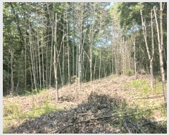  2025Ÿ��674 �泲 ��õ�� ����� ������ ��31      ����(�Ӿ�)���