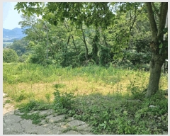  2025Ÿ��701 �泲 ���ر� â���� ��Ÿ� 579-1      �ܵ�����,�����ð��