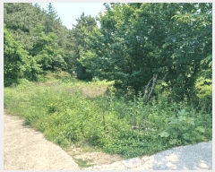  2025Ÿ��701 �泲 ���ر� â���� ��Ÿ� 579-1      �ܵ�����,�����ð��