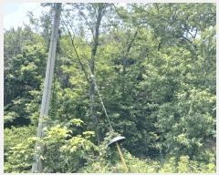  2025Ÿ��701 �泲 ���ر� â���� ��Ÿ� 579-1      �ܵ�����,�����ð��