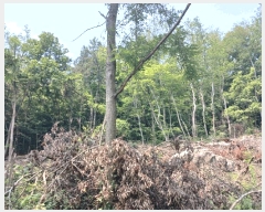  2025Ÿ��701 �泲 ���ر� â���� ��Ÿ� 579-1      �ܵ�����,�����ð��