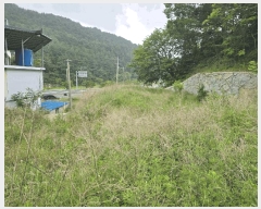  2025Ÿ��720  �����